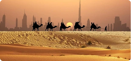 Desert Safari in Dubai - Types, Price & what to get